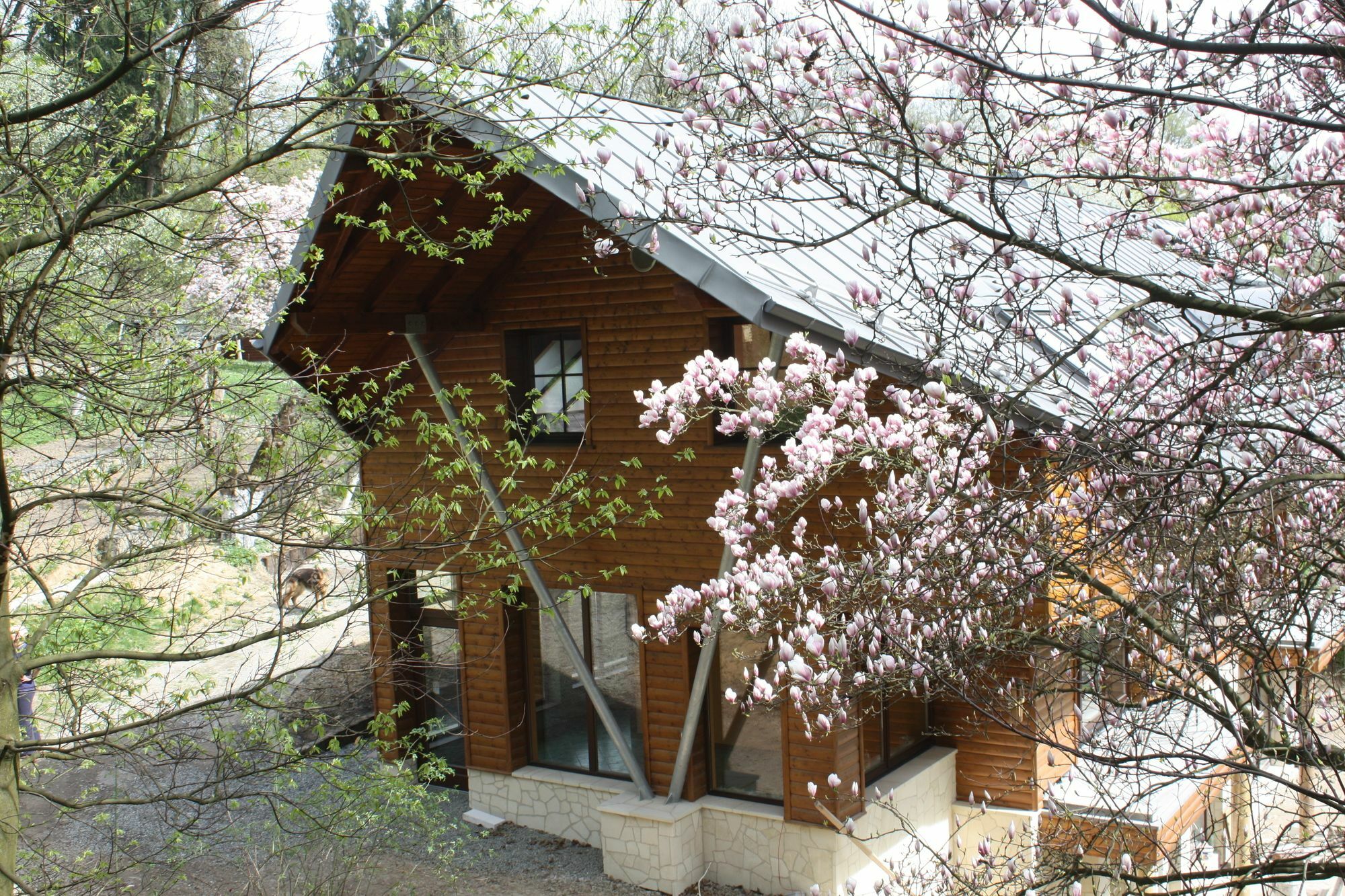 Hotel Ekosamotnia Cracovia Exterior foto